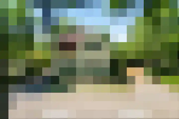 Hasseltsedijk 1 Berlicum thumbnail 5