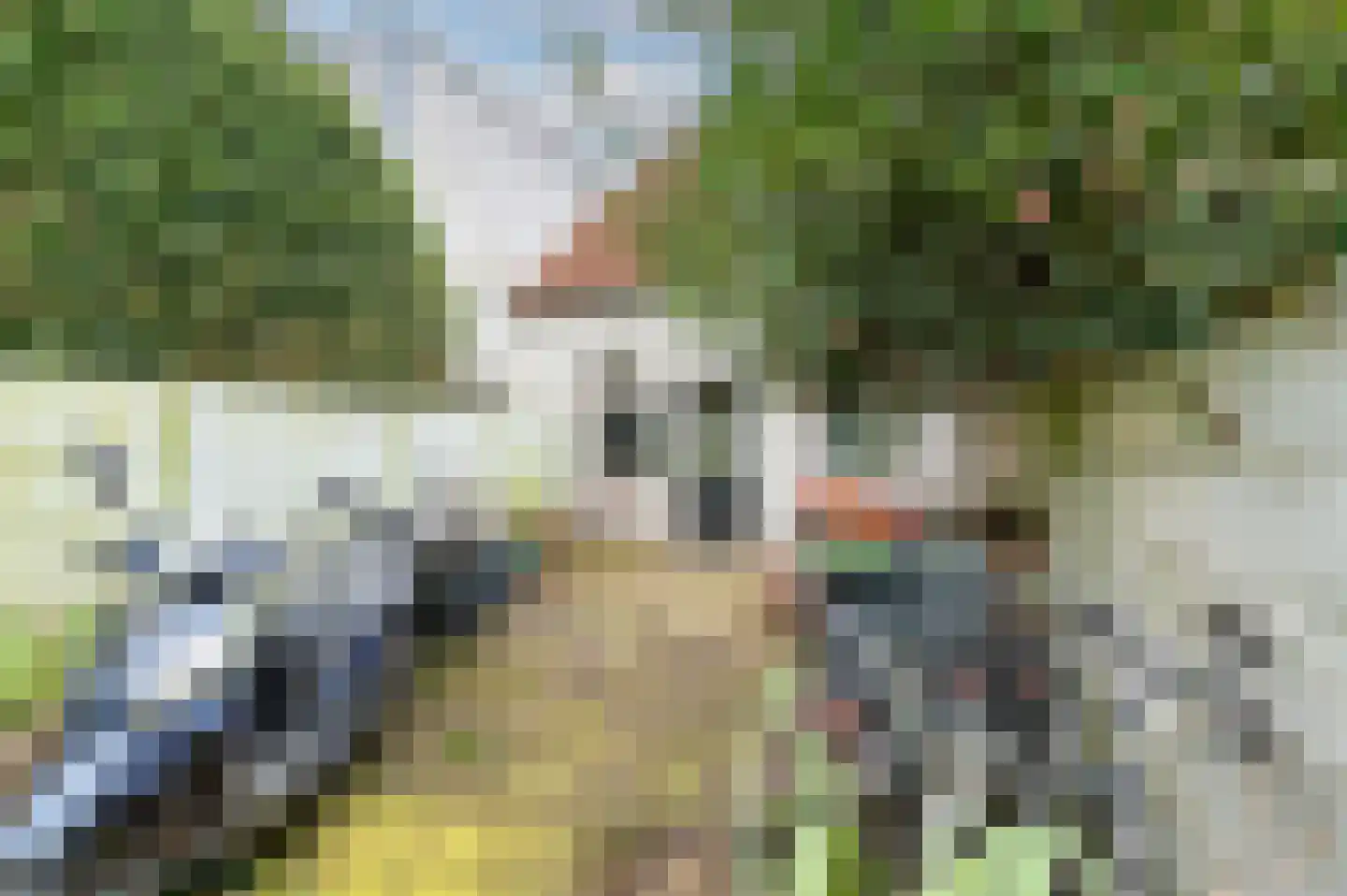 Hasseltstraat 110 a Tilburg thumbnail 18