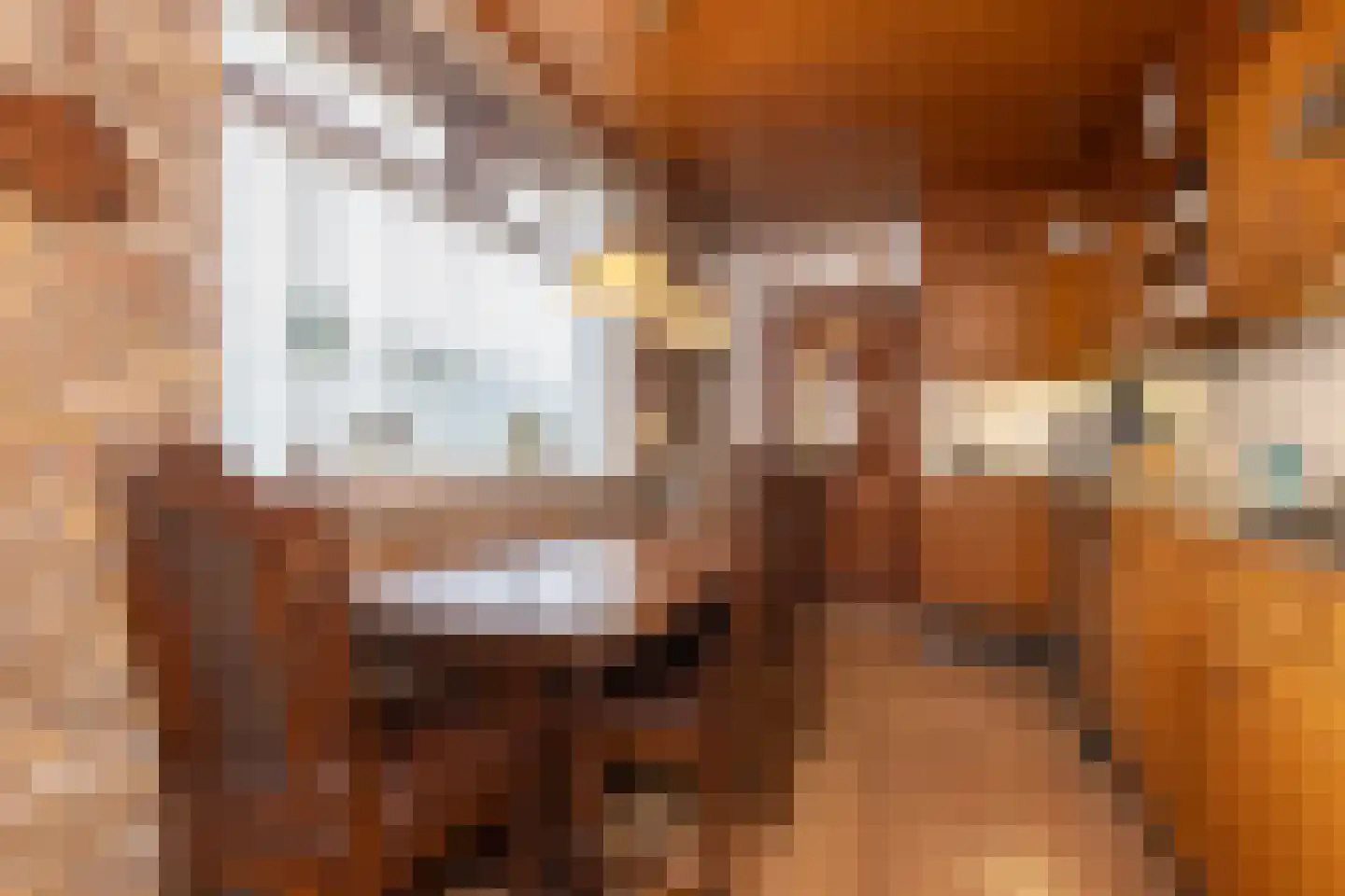 Hasseltstraat 154 Tilburg thumbnail 18