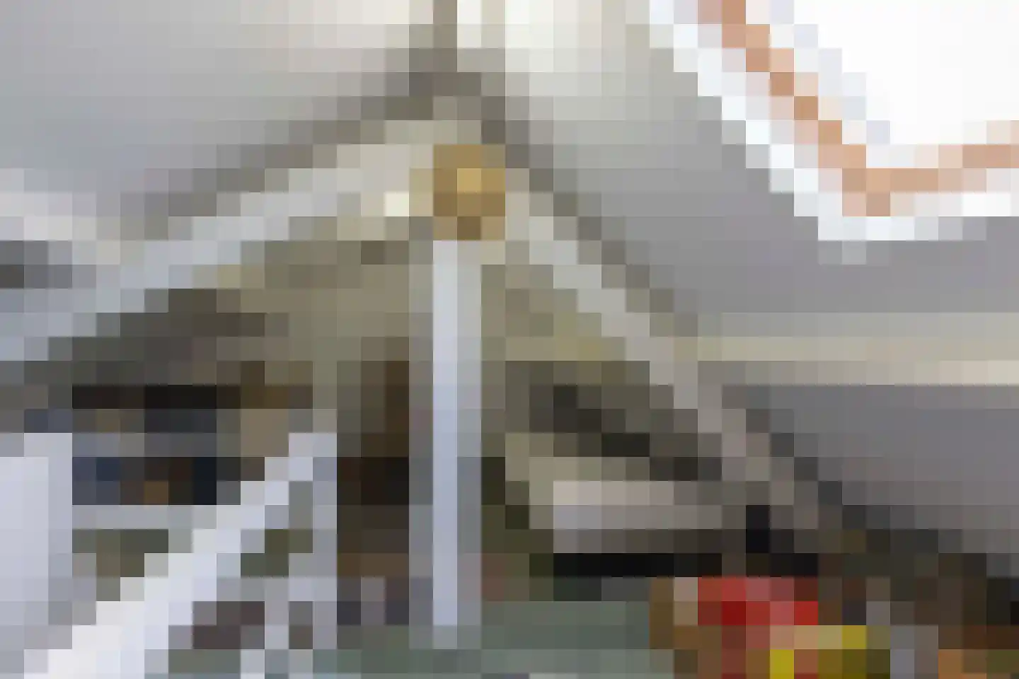 Hasseltstraat 154 Tilburg thumbnail 38