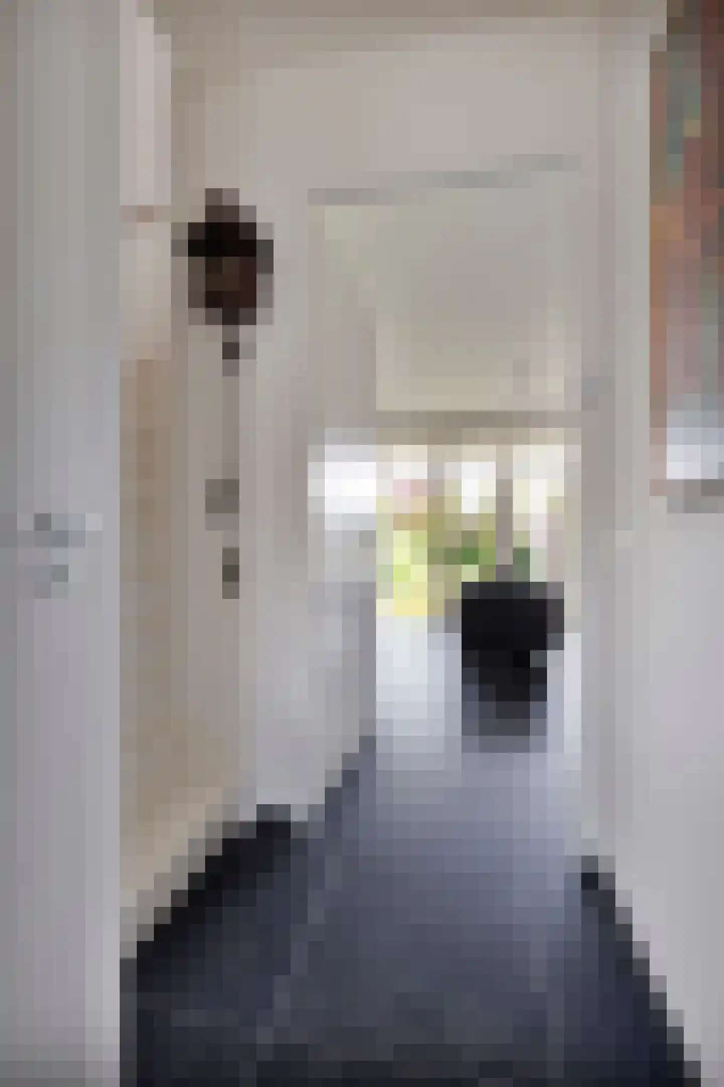 Hasseltstraat 172 Tilburg thumbnail 9