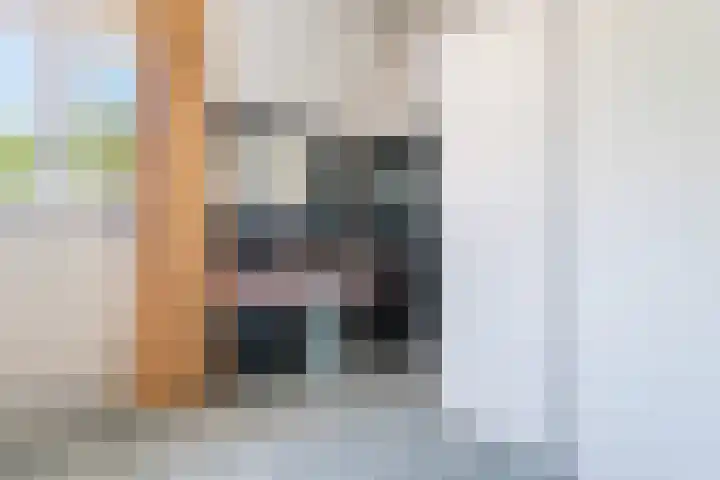 Hasseltstraat 200 Tilburg thumbnail 19