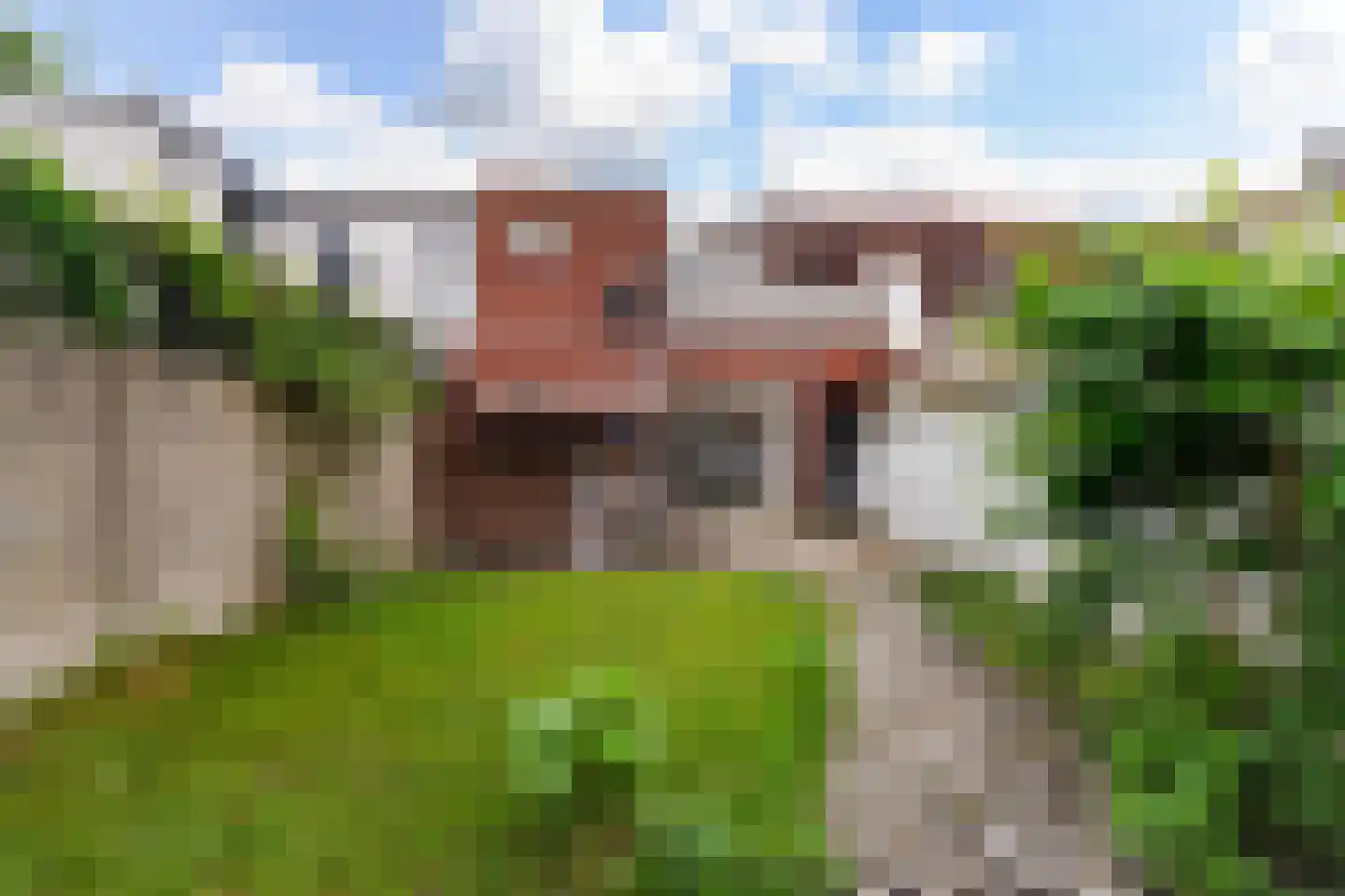 Hasseltstraat 265 Tilburg thumbnail 40
