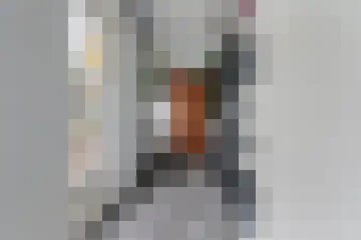Hasseltstraat 273 Tilburg thumbnail 20