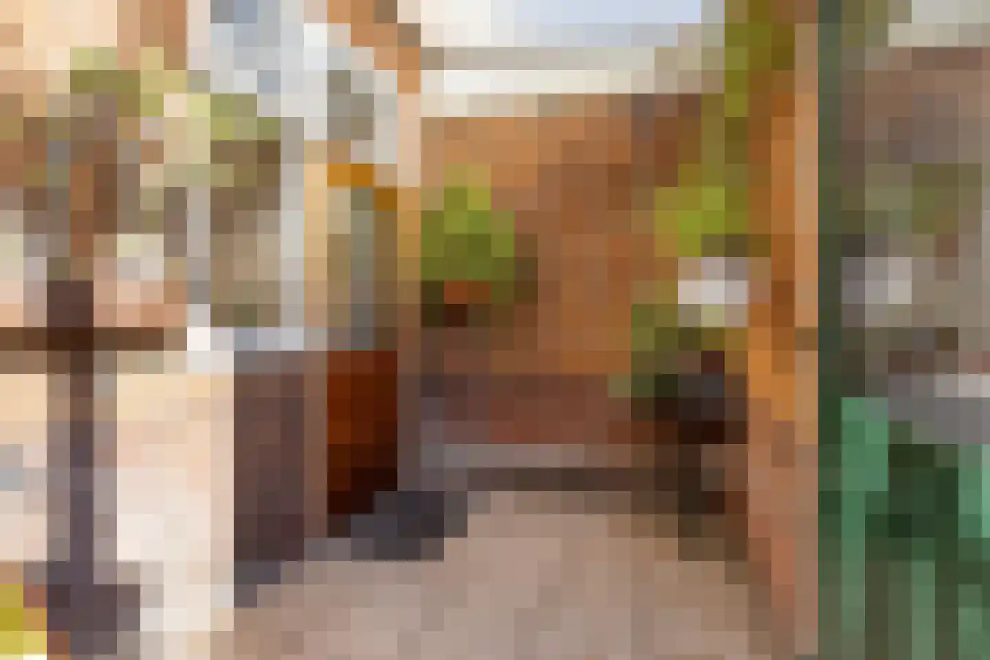 Hasseltstraat 297 Tilburg thumbnail 41