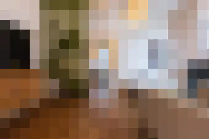 Hasseltstraat 46 Tilburg thumbnail 25