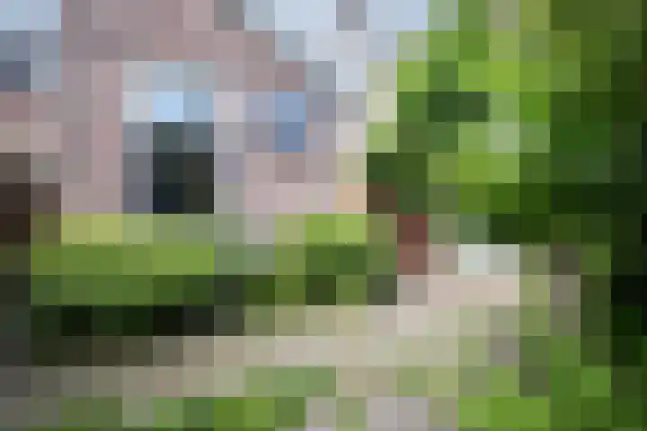 Hasseltstraat 46 Tilburg thumbnail 56
