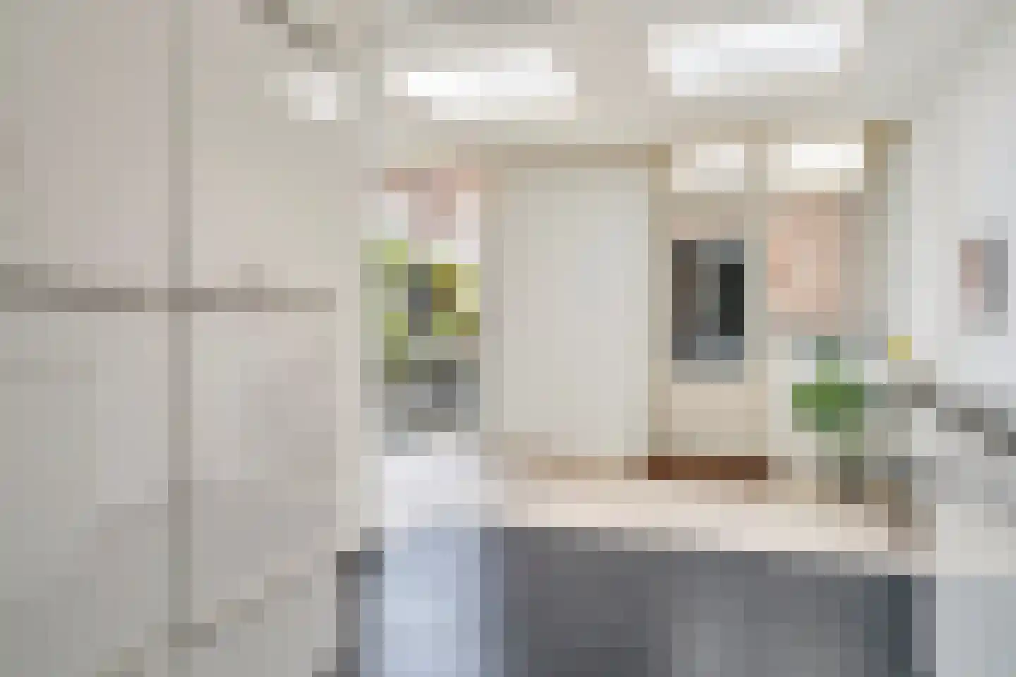 Hasseltstraat 92 Tilburg thumbnail 14