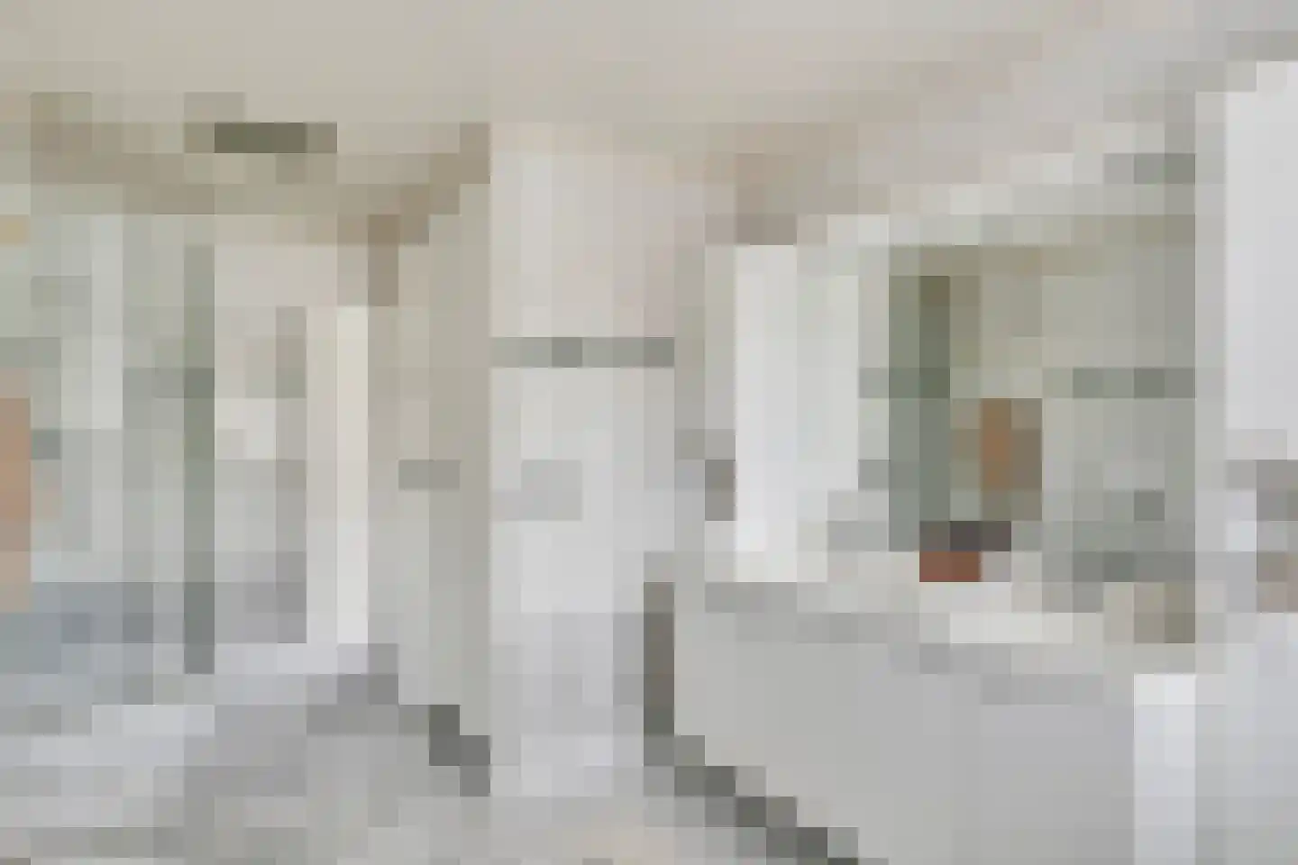 Hasseltstraat 92 Tilburg thumbnail 23