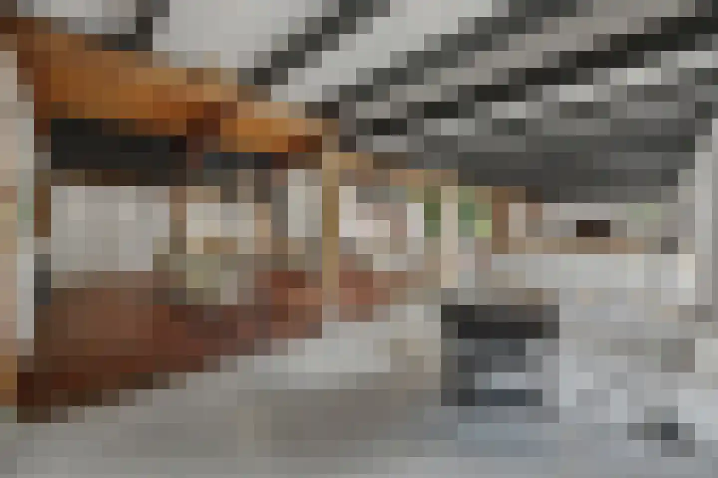Hasseltweg 29 Haaksbergen thumbnail 14