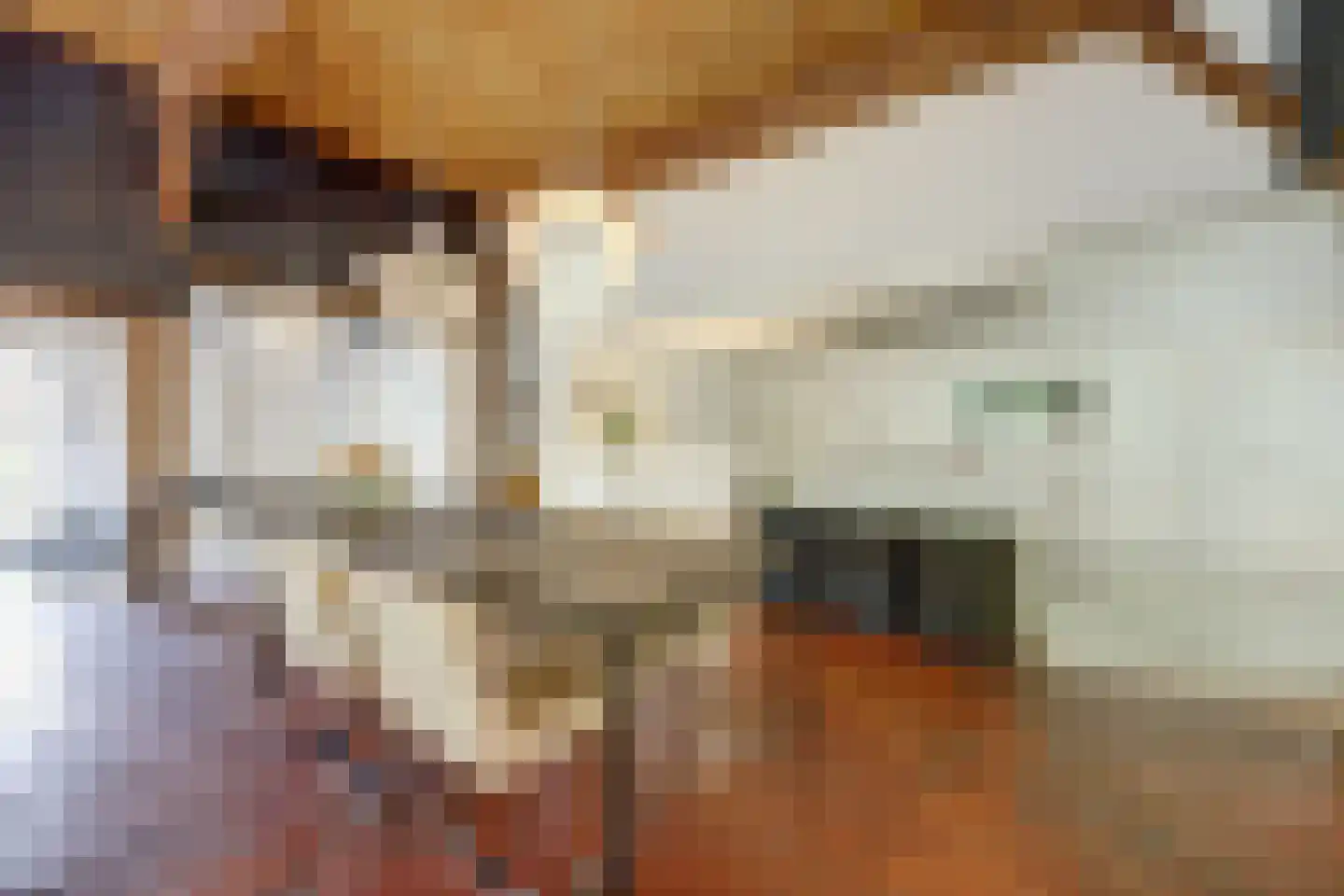 Hasseltweg 29 Haaksbergen thumbnail 19