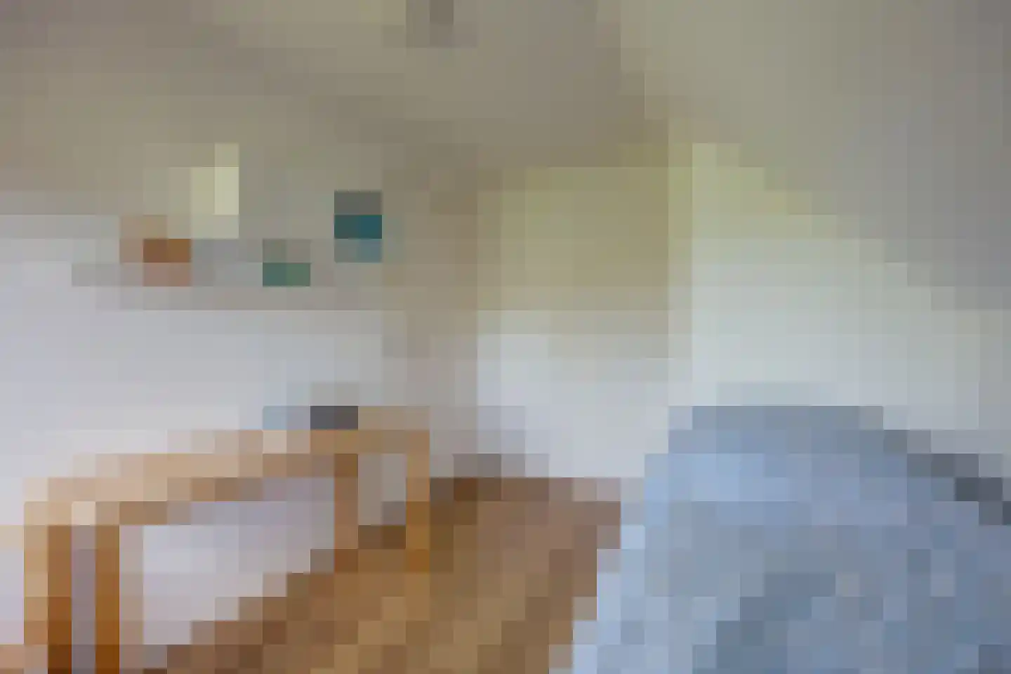Hasseltweg 29 Haaksbergen thumbnail 38