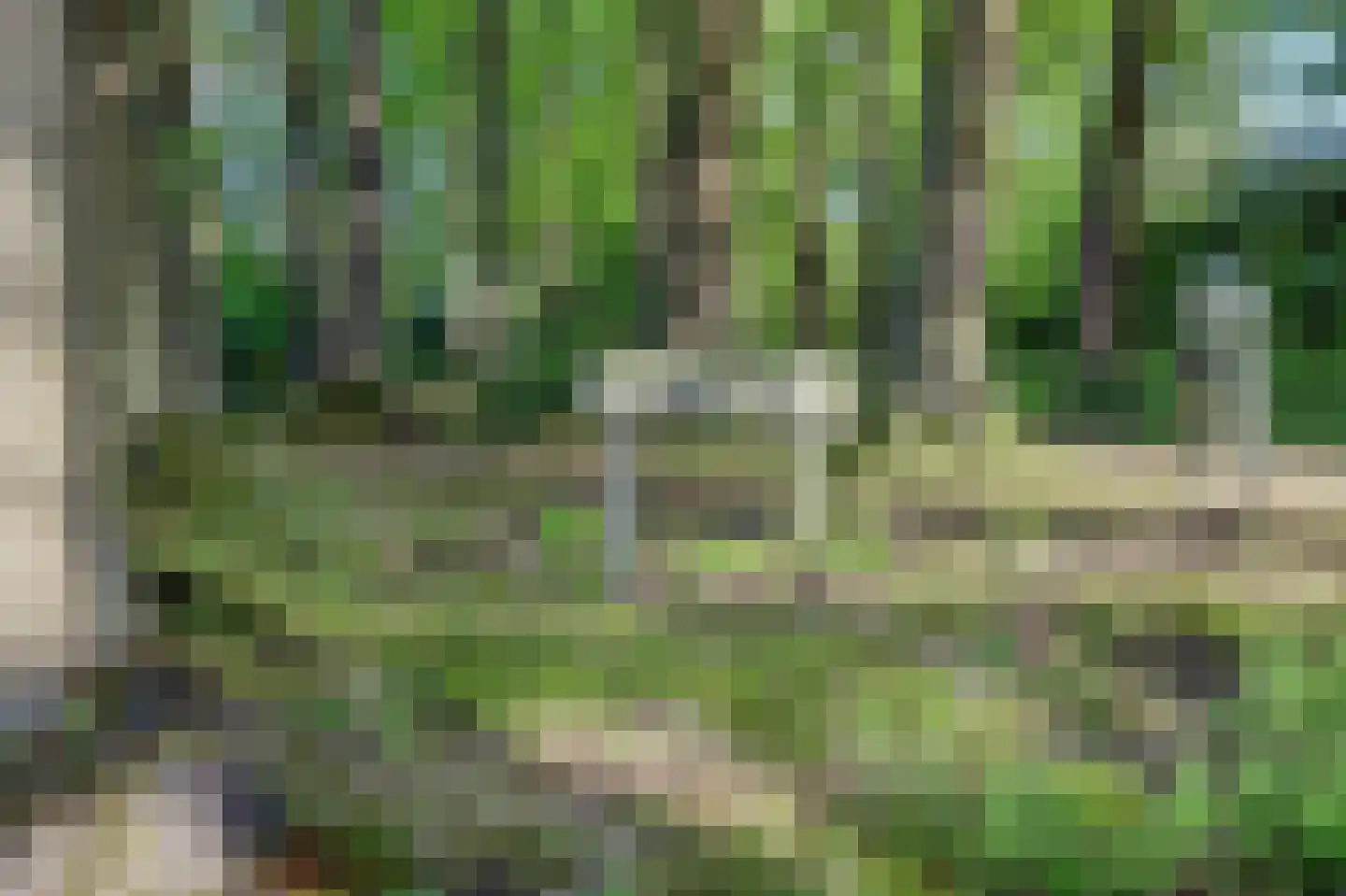 Hasseltweg 29 Haaksbergen thumbnail 5