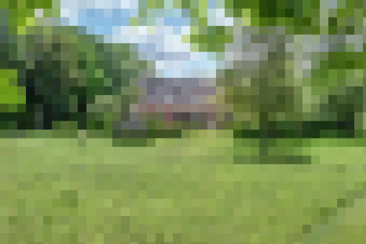 Hasseltweg 29 Haaksbergen thumbnail 52