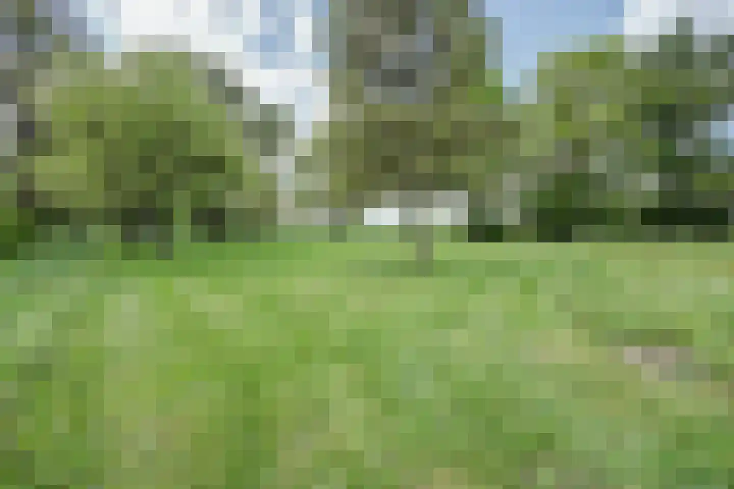 Hasseltweg 29 Haaksbergen thumbnail 63