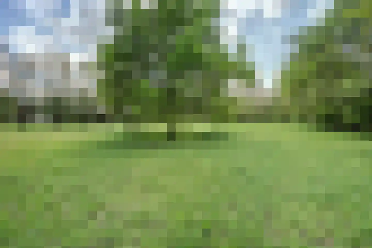 Hasseltweg 29 Haaksbergen thumbnail 65