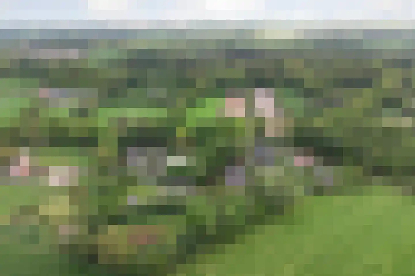 Hasseltweg 29 Haaksbergen thumbnail 68