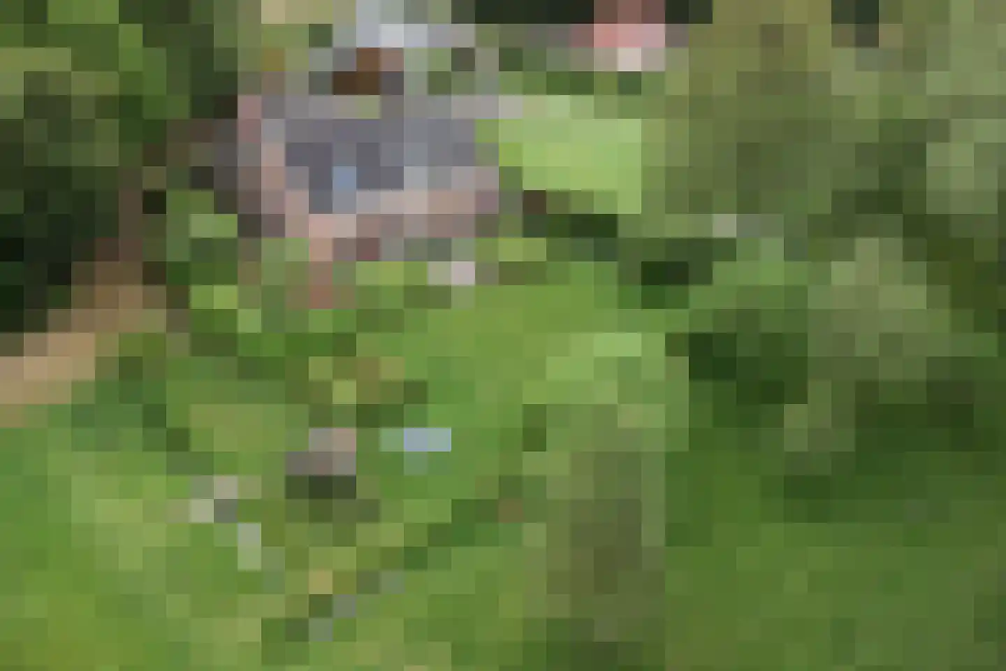 Hasseltweg 29 Haaksbergen thumbnail 69