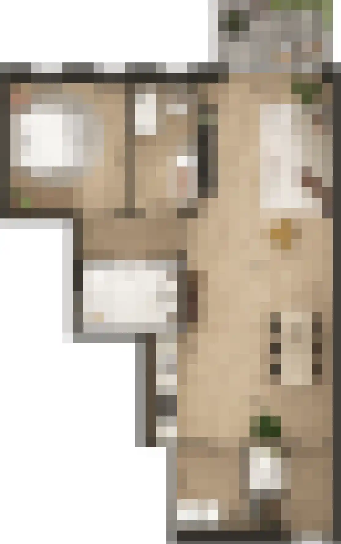 Hassinkborgh 2 e Haaksbergen thumbnail 4