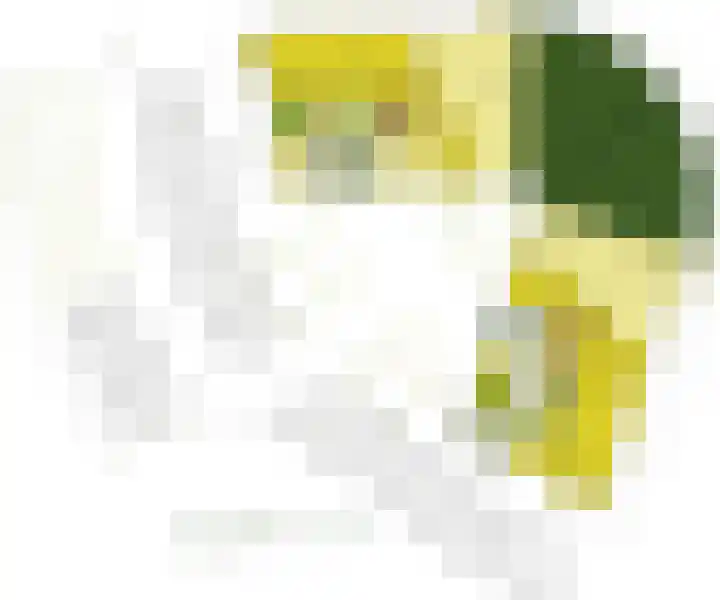 Hassinkborgh 2 Haaksbergen thumbnail 5