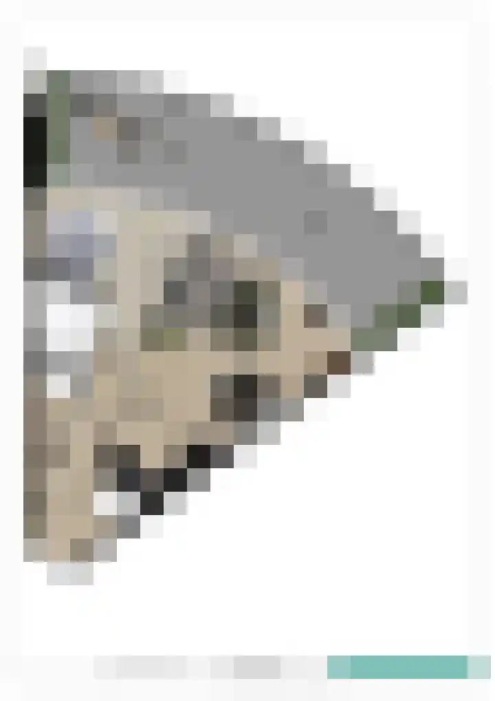 Hassinkborgh 4 Haaksbergen thumbnail 4