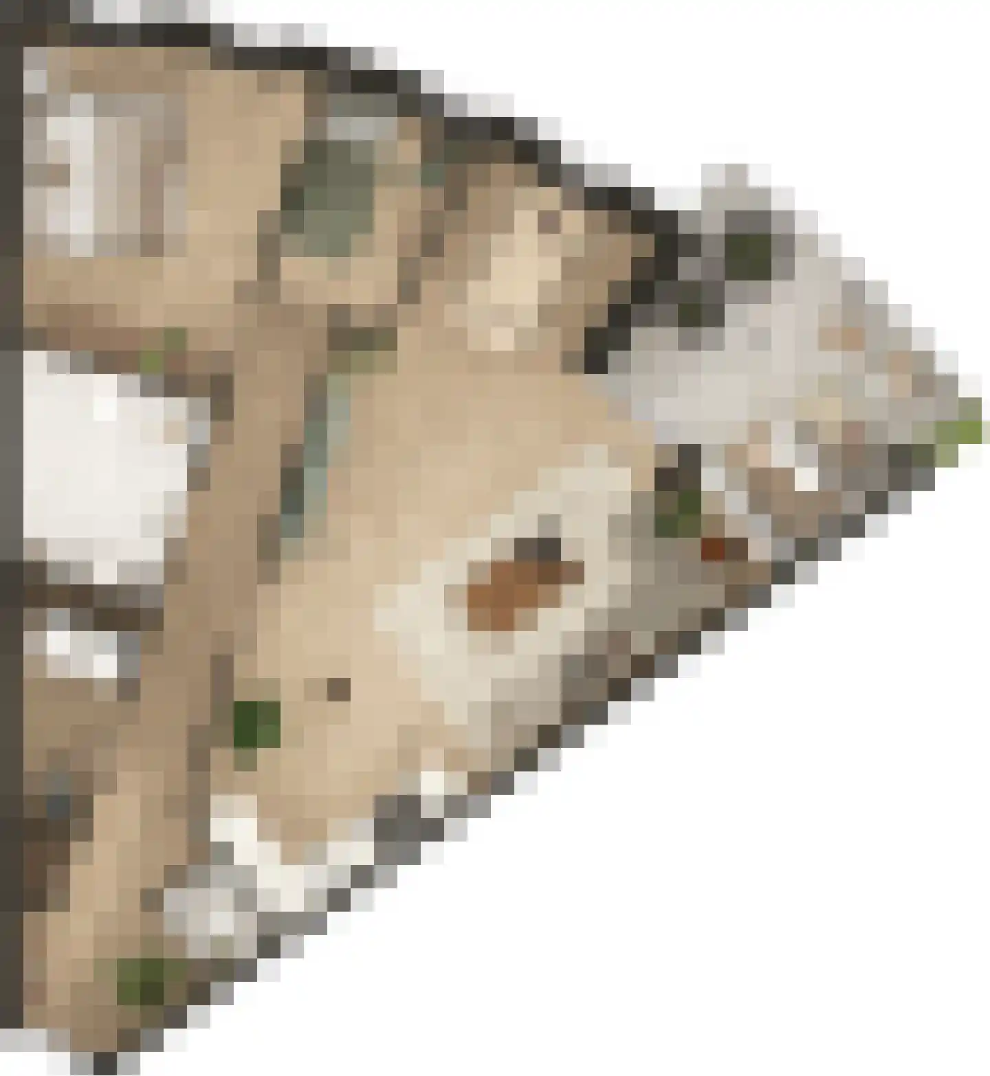 Hassinkborgh 6 e Haaksbergen thumbnail 4