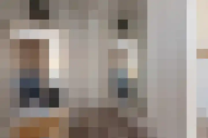 Hassinkstraat 9 Beltrum thumbnail 10