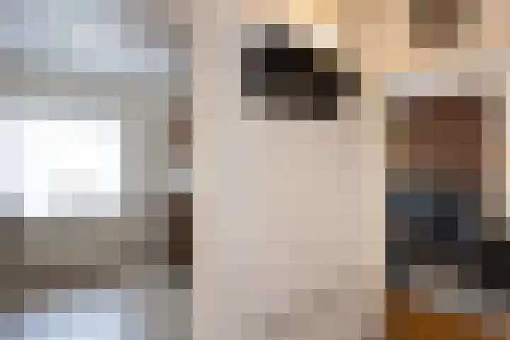 Hassinkstraat 9 Beltrum thumbnail 11