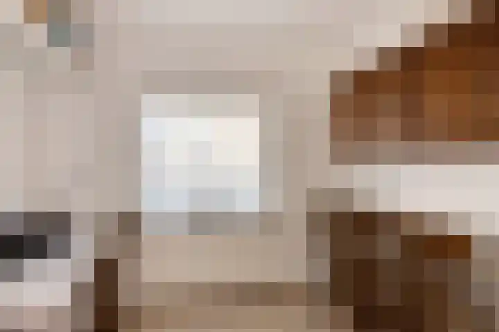 Hassinkstraat 9 Beltrum thumbnail 12