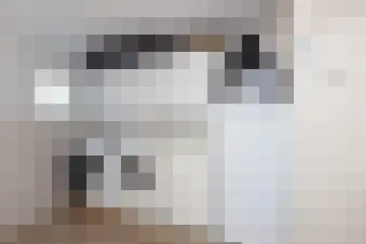 Hassinkstraat 9 Beltrum thumbnail 13