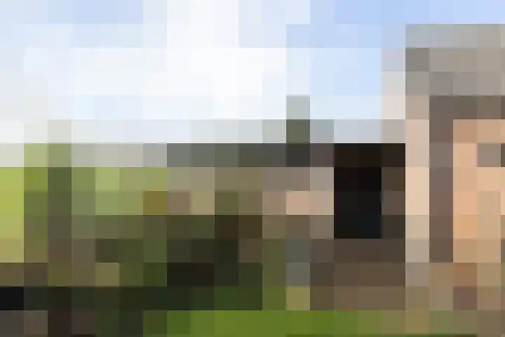 Hassinkstraat 9 Beltrum thumbnail 28