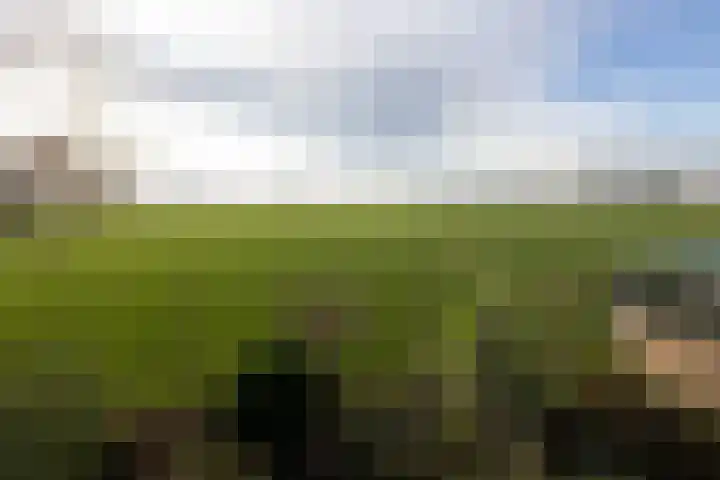 Hassinkstraat 9 Beltrum thumbnail 29