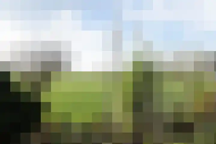 Hassinkstraat 9 Beltrum thumbnail 30