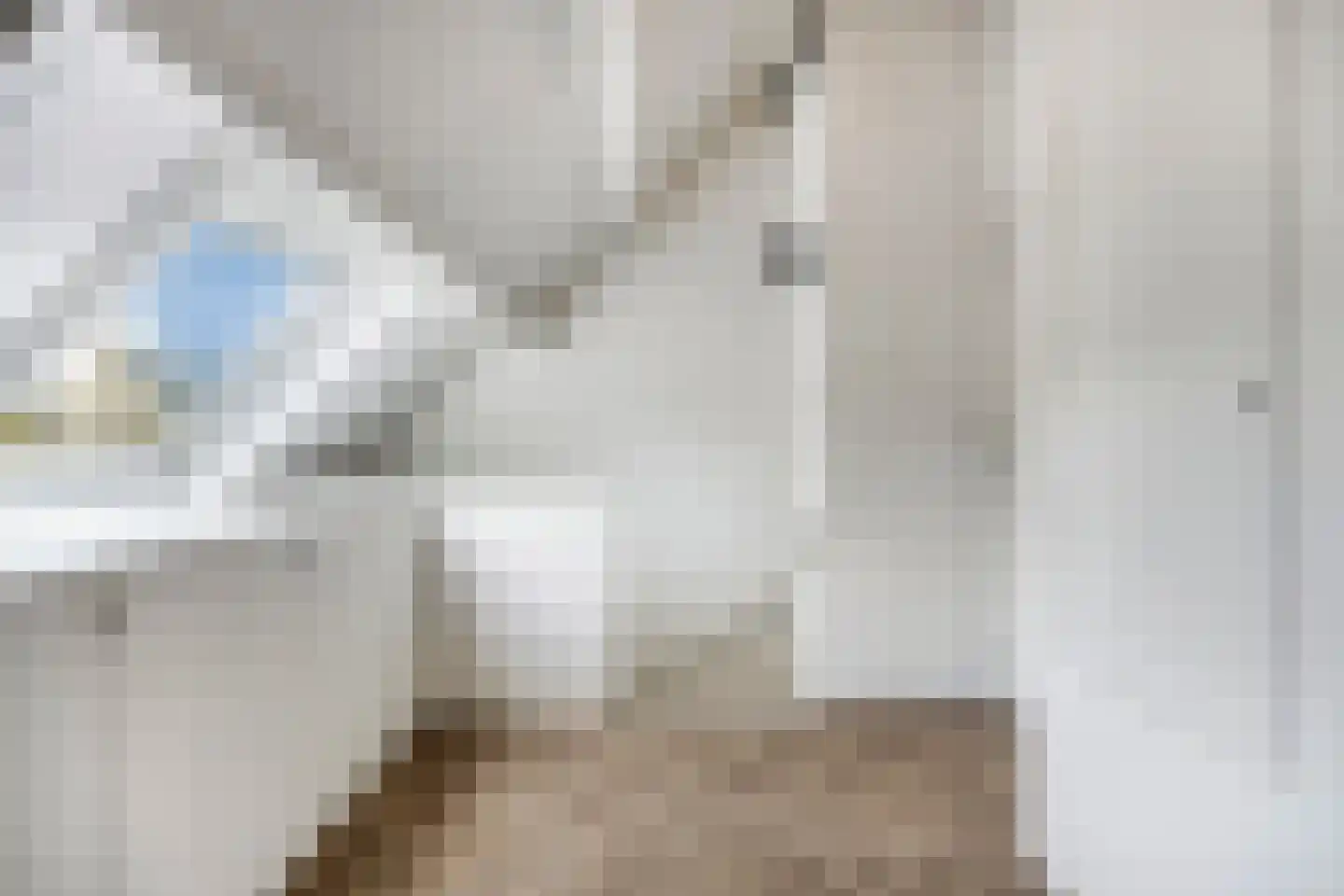 Hastelweg 23 A Eindhoven thumbnail 17