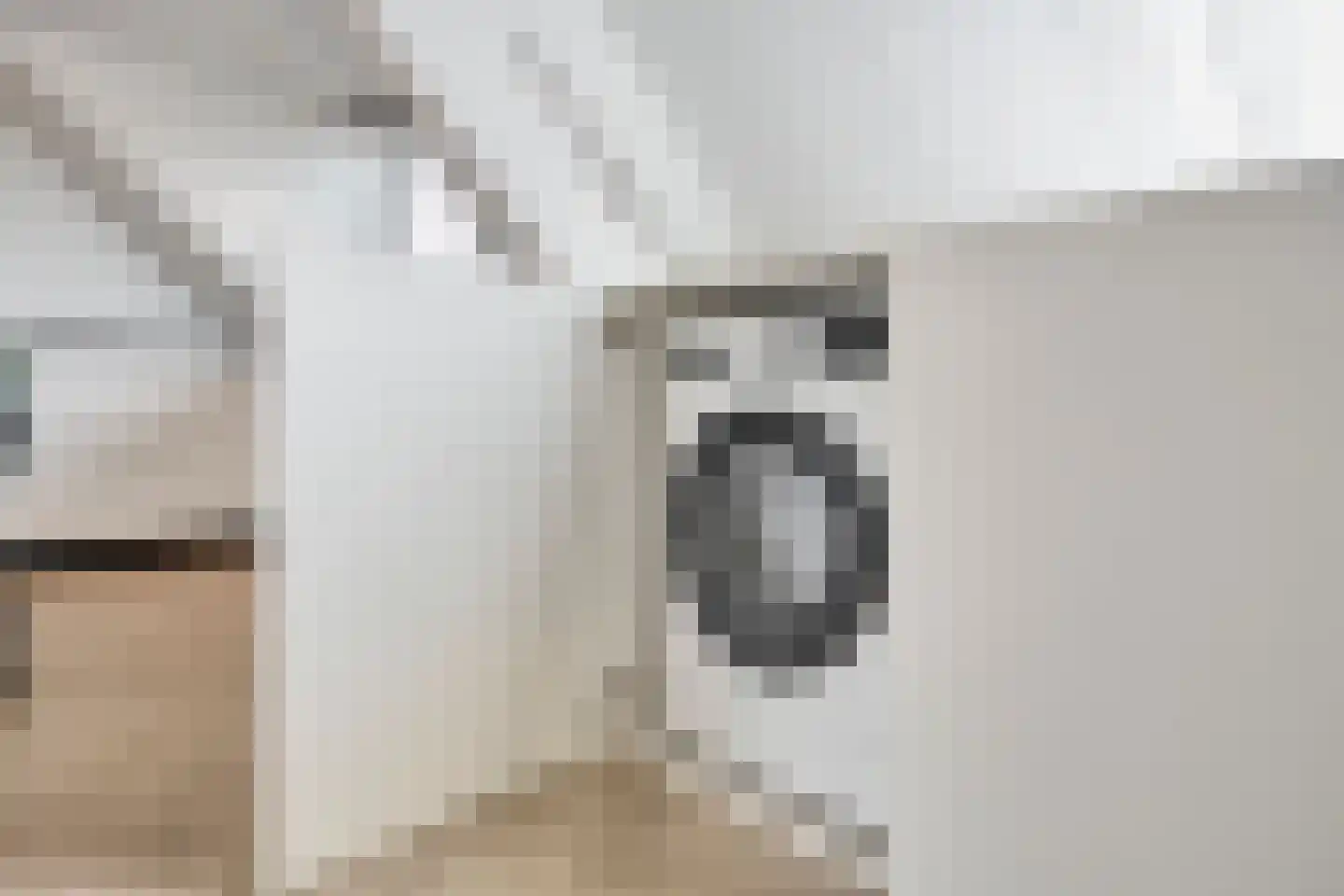 Hastelweg 23 A Eindhoven thumbnail 18