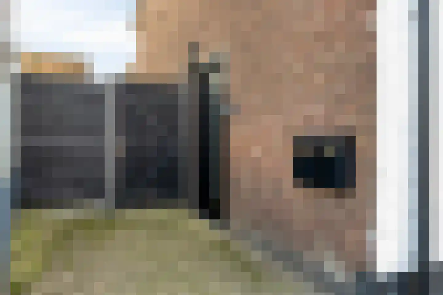 Hastelweg 23 A Eindhoven thumbnail 27