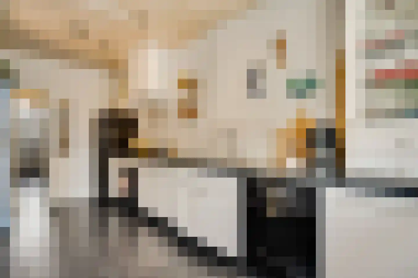 Hastelweg 49 Eindhoven thumbnail 12