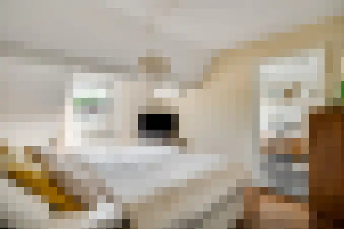 Hastelweg 49 Eindhoven thumbnail 19