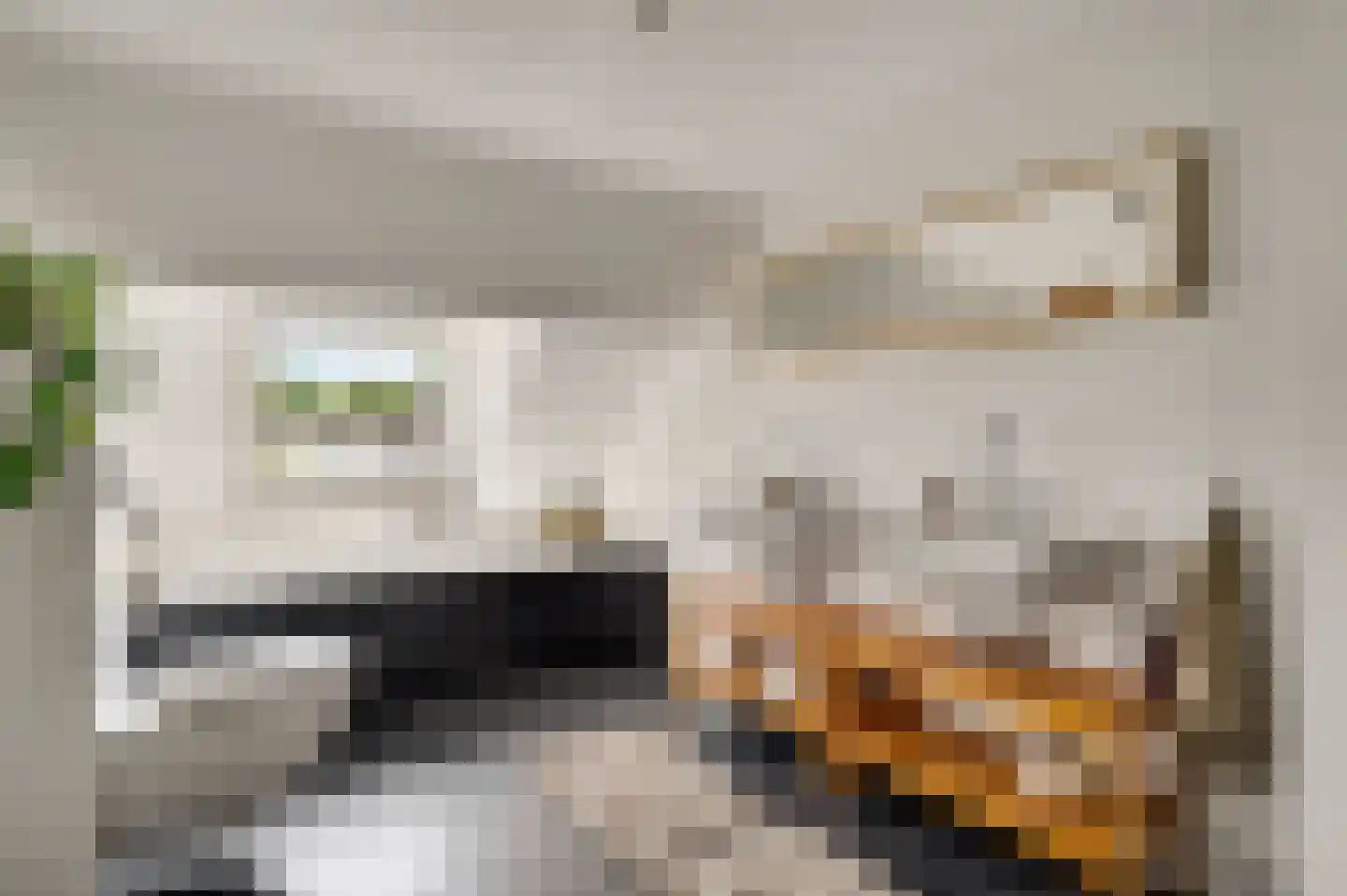 Hastelweg 49 Eindhoven thumbnail 23