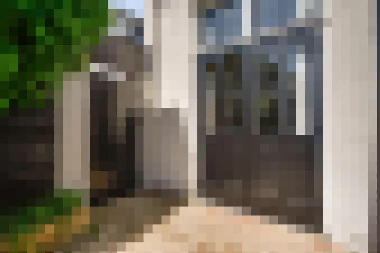 Hastelweg 49 Eindhoven thumbnail 28
