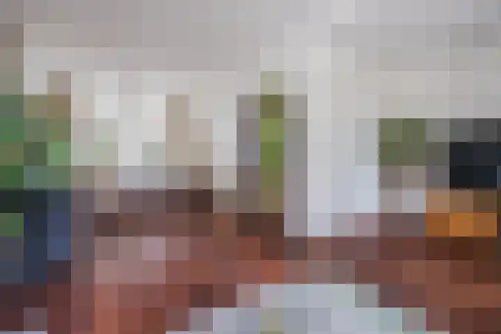 Hastelweg 71 Eindhoven thumbnail 14