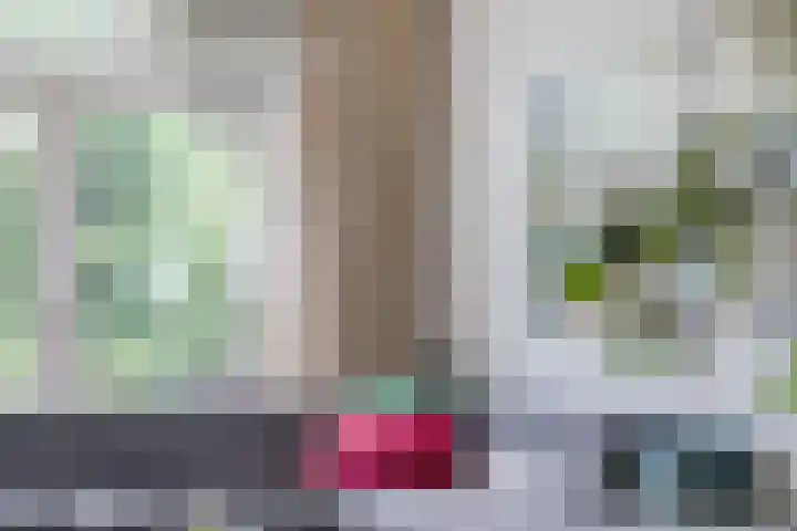 Hastelweg 71 Eindhoven thumbnail 16