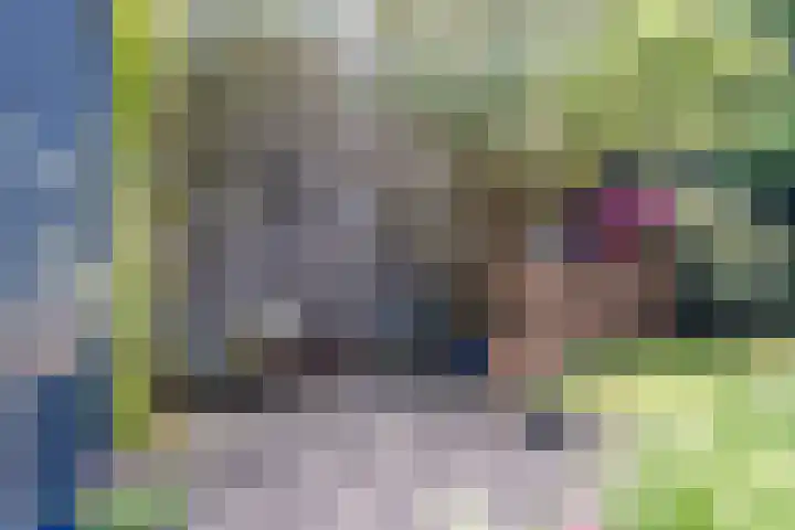 Hastelweg 71 Eindhoven thumbnail 39