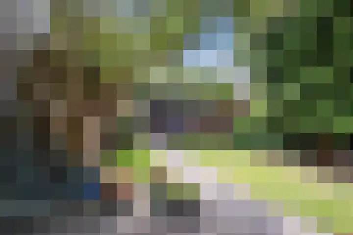 Hastelweg 71 Eindhoven thumbnail 40