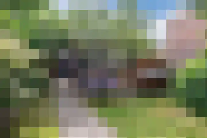 Hastelweg 71 Eindhoven thumbnail 42
