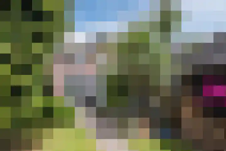 Hastelweg 71 Eindhoven thumbnail 43