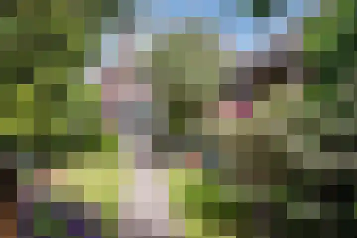 Hastelweg 71 Eindhoven thumbnail 5