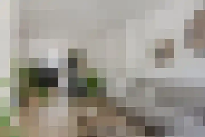 Hastelweg 73 Eindhoven thumbnail 10