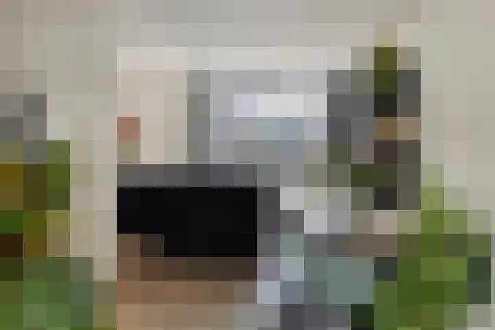 Hastelweg 73 Eindhoven thumbnail 11