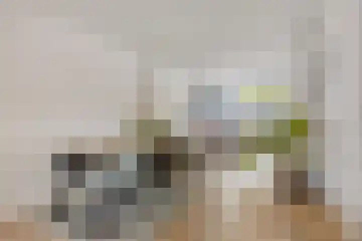 Hastelweg 73 Eindhoven thumbnail 13